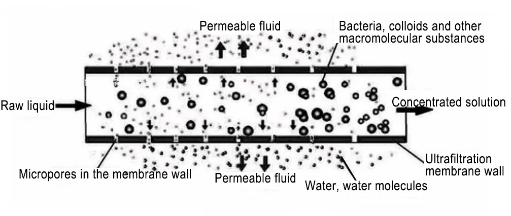 The Advantages and Disadvantages of Ultrafiltration and Activated Carbon Devices in the Preparation of Ultra-pure Water